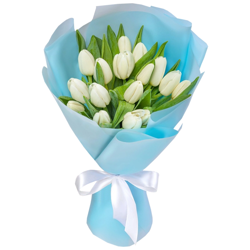 Букет из 15 белоснежных тюльпанов