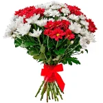 Хризантема кустовая красная и белая микс